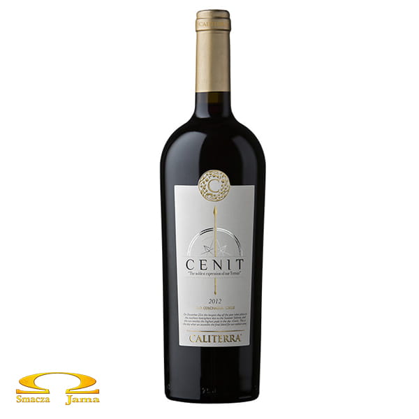cenit logo.jpg