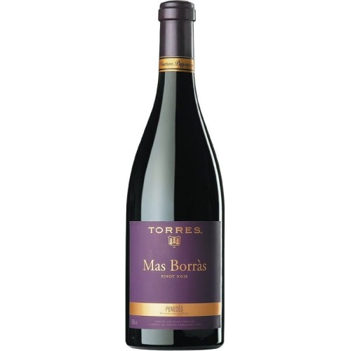 mas-borras-pinot-noir-torres.jpg