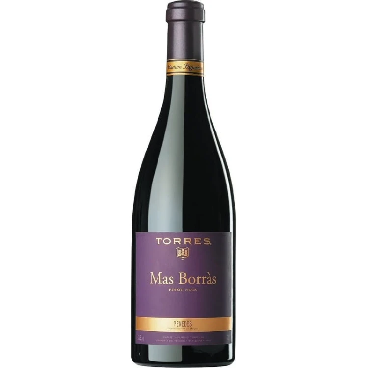 mas-borras-pinot-noir-torres.jpg