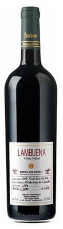 LAMBUENA-TINTO-VENDIMIA-SELECCIONADA-2006-75cl-RESERVA-copaycuchillo-580x580.jpg