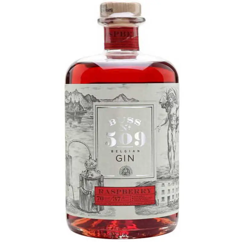 Gin Buss Nr 509 Raspberry  0,7l