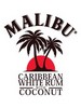 Manufacturer: Malibu (go to products)