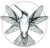 Manufacturer: Ninfa (go to products)